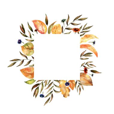 Renkli çizilmiş kare beyaz arka plan üzerinde izole sonbahar bitkilerin