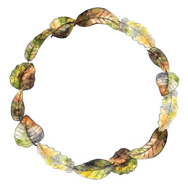 Renkli çizilmiş kare beyaz arka plan üzerinde izole sonbahar bitkilerin