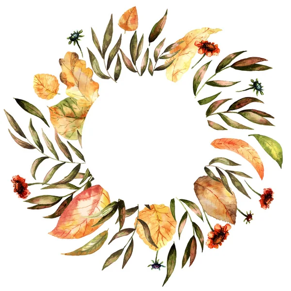 Colorful Hand Drawn Frame Autumnal Plants Isolated White Background — Stock Photo, Image