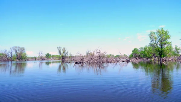 Banjir Musim Semi Delta Volga — Stok Foto