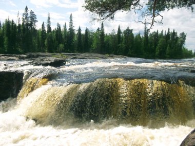 Karelia 'daki Umba Nehri' nde eşik. Bu şelaleye kıvırcık saç denir..