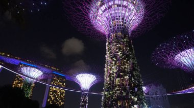 Geceleri süper ağaç koruluğu 