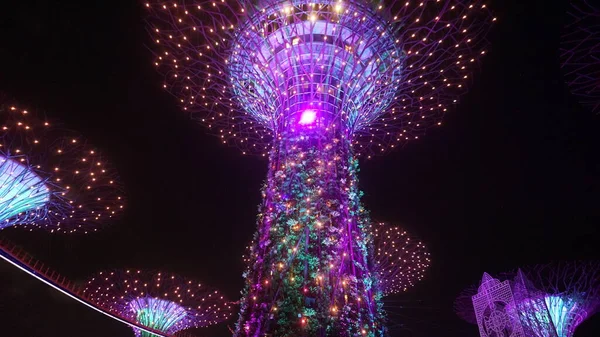 Supertree Grove Night — Stock Photo, Image