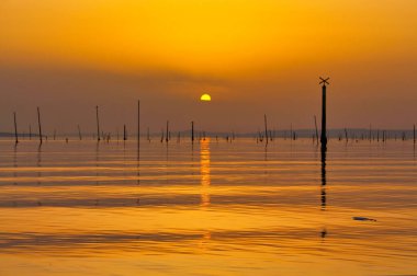 Concha 'dan altın saat Vilagarcia' daki Compostela plajında altın bir deniz ve sudan çıkan balıkçıların kullandığı sopa.