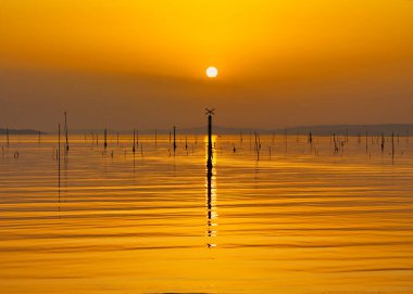 Concha 'dan altın saat Vilagarcia' daki Compostela plajında altın bir deniz ve sudan çıkan balıkçıların kullandığı sopa.