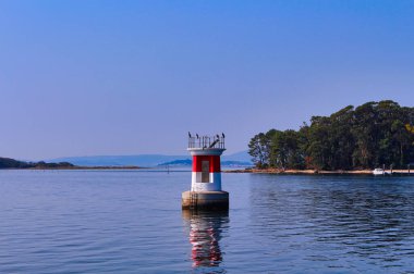 Ria de Arousa 'da üzerinde kuş olan sakin bir deniz feneri.