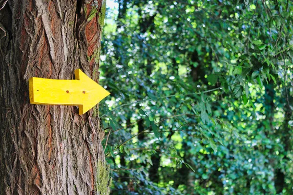 Sinal Seta Amarela Mostrando Caminho Para Saint James Uma Árvore — Fotografia de Stock