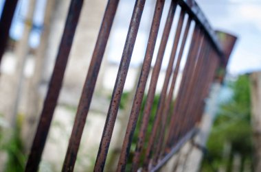 Demirlerin fotoğrafçılığı