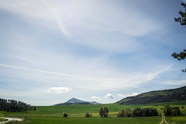 Baharda başrol oyuncusu olarak çimenli manzara fotoğrafları koleksiyonu..