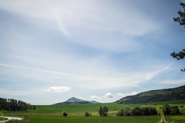 Baharda başrol oyuncusu olarak çimenli manzara fotoğrafları koleksiyonu..