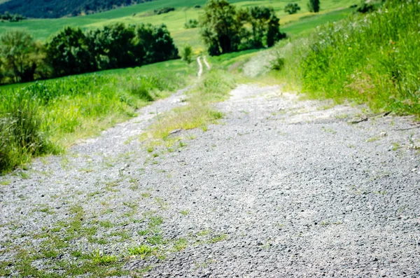 Baharda başrol oyuncusu olarak çimenli manzara fotoğrafları koleksiyonu..