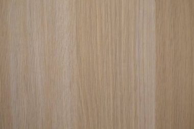 Beyaz ahşap kaplama arka plan, deri arkaplan, ahşap zemin