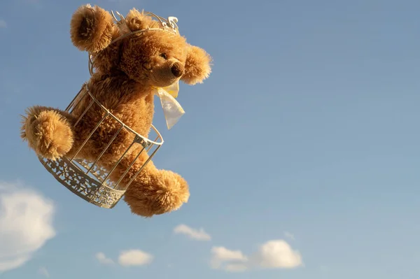 Медведь Тедди Клетке Против Неба — стоковое фото