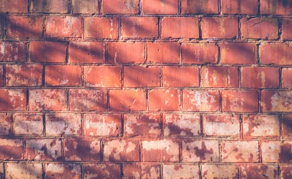 Brick Background Brick Concrete Background — Stock Photo, Image