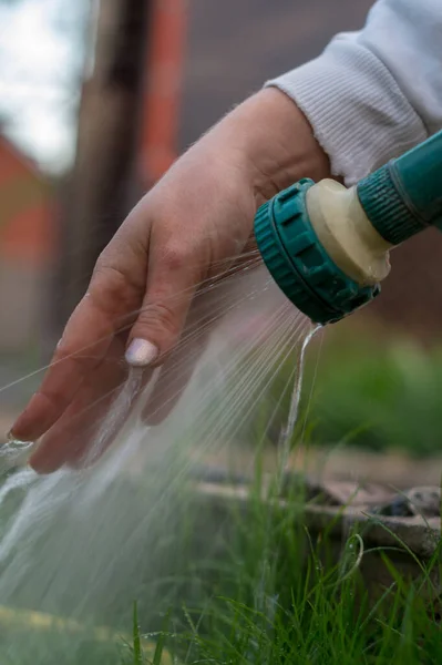 Girl Watering Her Hand Garden Tap Green Grass — Stock Photo, Image