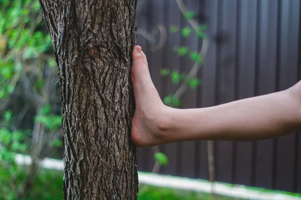 Kicking Bare Foot Tree Bark — Stock Photo, Image