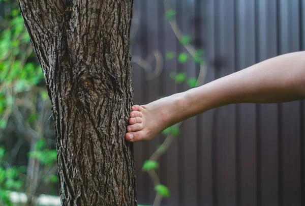 Kicking Bare Foot Tree Bark — Stock Photo, Image