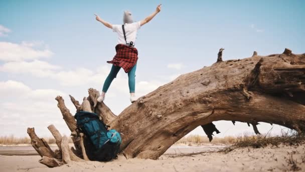 Glad ung kvinna som står på trädstammen på sandstranden med utsträckta händer. Backpacker åtnjuter frihet — Stockvideo