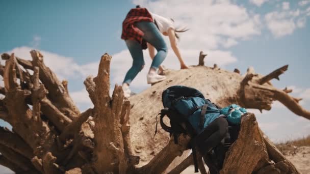 Jeune aventurière, femme touriste grimpant sur le tronc d'arbre dans le désert. Focus sur le sac à dos au premier plan — Video