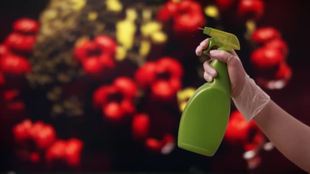 Il coronavirus ha diffuso la prevenzione. Donna con guanti spray disinfettante — Video Stock