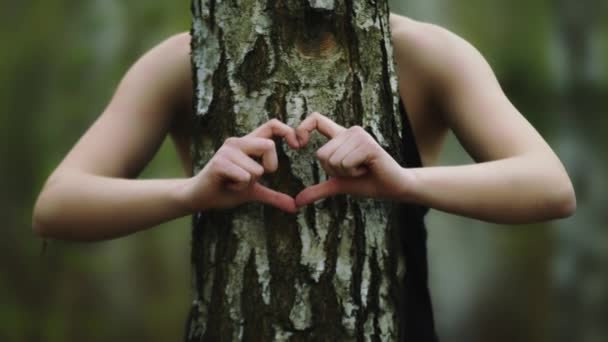 Liefde voor het natuurconcept. jonge vrouw knuffelen de boom en vormen hart vorm met haar handen — Stockvideo