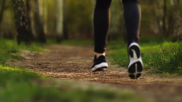 Correr piernas femeninas en zapatillas de deporte en el bosque de cerca. Mujer corriendo en el bosque cámara lenta — Vídeos de Stock