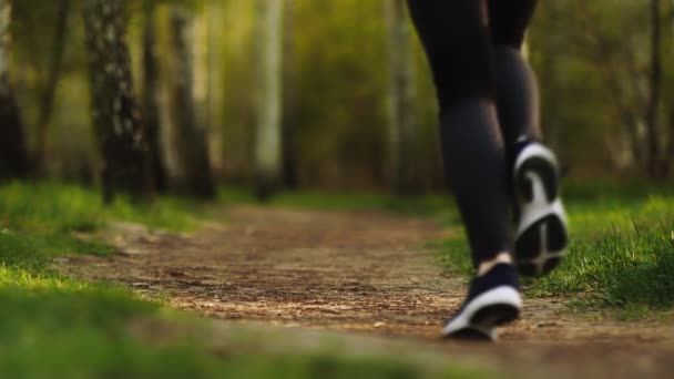 Correr piernas femeninas en zapatillas de deporte en el bosque de cerca. Mujer corriendo en el bosque cámara lenta — Vídeo de stock