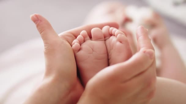 Πόδια μωρών σε χέρια μητέρων. Κλείσε. Έννοια ευτυχισμένη οικογένεια — Αρχείο Βίντεο