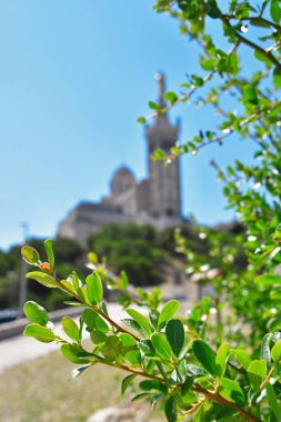 Mavi gökyüzünün ve Notre Dame de la Garde 'nin arka planında yeşil dallar, Marsilya, Fransa