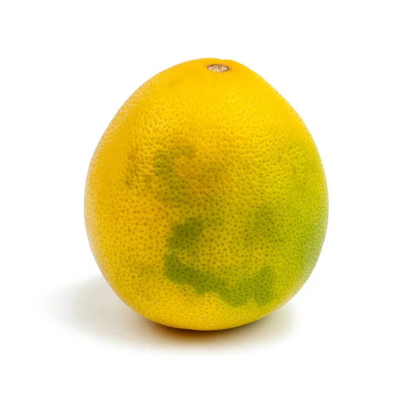 Желто Зеленый Грейпфрут Белом Фоне Изолировать — стоковое фото