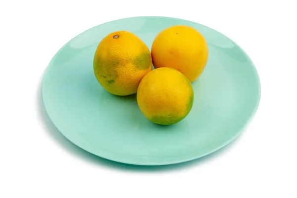Three Whole Yellow Green Grapefruit Turquoise Plate White Background Isolate — Stock Photo, Image