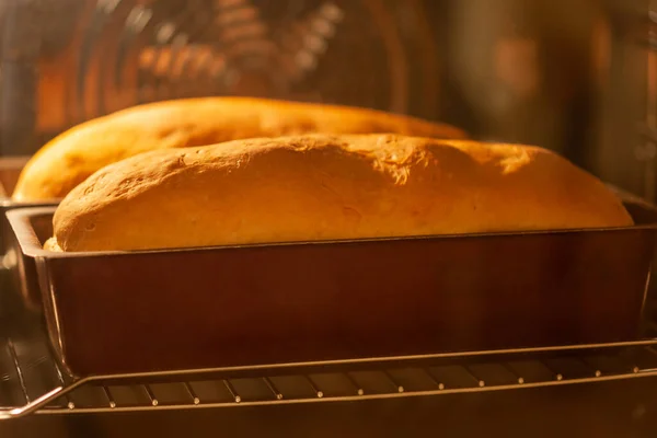 Ev yapımı ekmek fırında pişiyor.