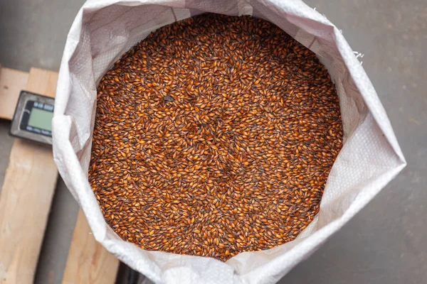 Karamelli bira, yakın plan bir çantada.