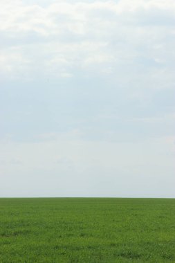 Tarlanın güzel manzarası ve gökyüzü. Tohumdan sonra. Bulutlar gidiyor.