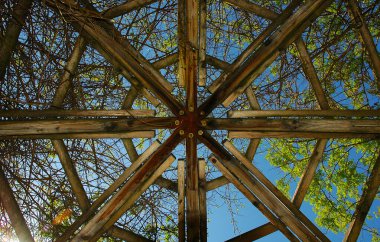 Tahta geometri, daire, açık hava, ağaçlar ve bitkiler