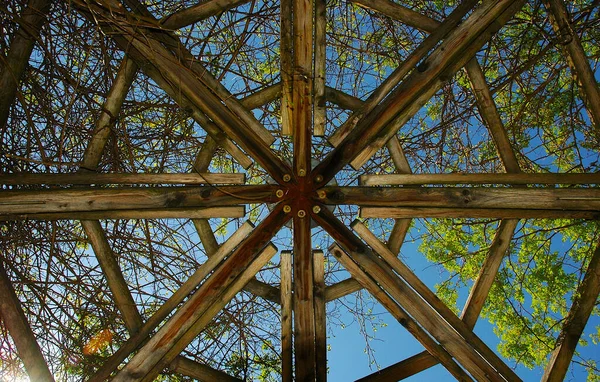 Tahta geometri, daire, açık hava, ağaçlar ve bitkiler