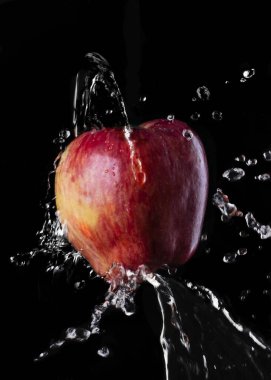 Katı siyah arka planda su damlacıkları olan kırmızı elma çeşidi.