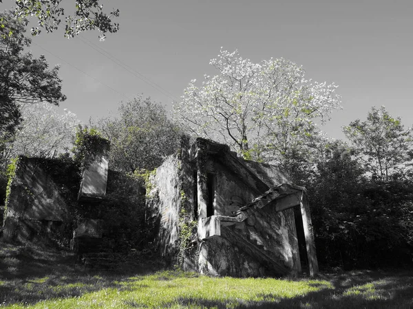 Estructura Abandonada Medio Naturaleza — Stok fotoğraf