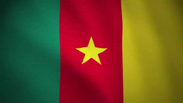 Looping Video Von Kamerun Flagge Textiles Gewebe Strukturiert Nahtlos Und — Stockvideo