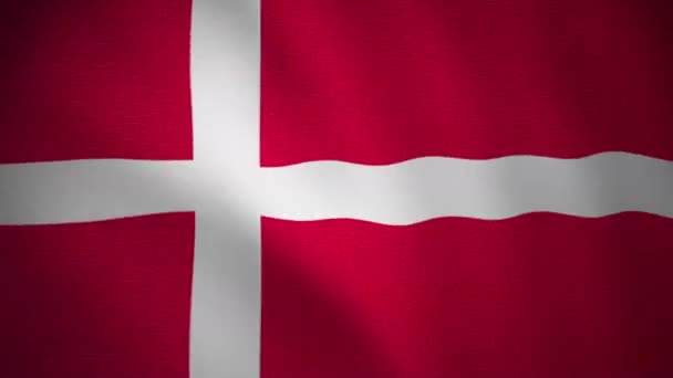 Video Bucle Bandera Denmark Tela Textil Texturizada Sin Costuras Lisa — Vídeos de Stock