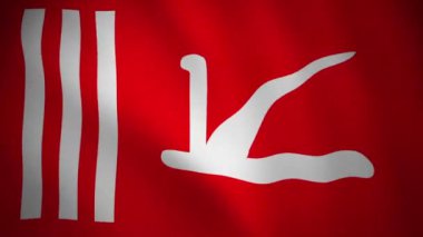 Jammu kaşmir bayrağının döngülü videosu, dokulu, pürüzsüz ve pürüzsüz tekstil kumaşı