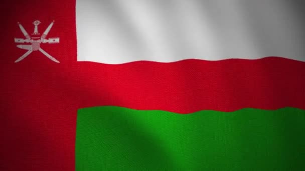 Zapętlone Wideo Flagą Omana Tekstylia Teksturowane Bezszwowe Gładkie — Wideo stockowe