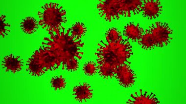 Yeşil ekranda Coronavirus 'un (COVID-19) gerçekçi animasyonu, koyu kırmızı kan rengi mikroskobik virüs salgını dünya salgını