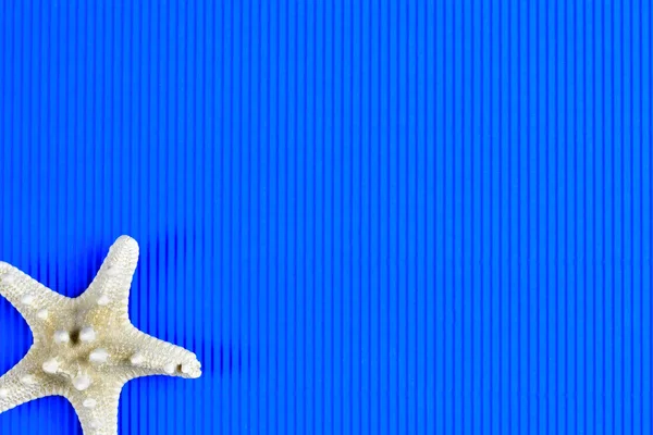 Yaz tatilleri için mükemmel aletler.