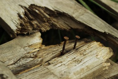 Çimenlerdeki tahtalar zarar görmüş.