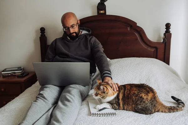 Middle aged bald and bearded man working on laptop while sitting on bed and petting a cat. Work at home concept