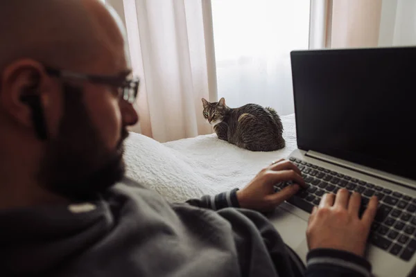 Cat sitting on bed watching a man typing on laptop