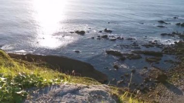 Bitkilerle dolu bir uçurum ve Cantabrian okyanusunda erişimi olmayan bir koy.