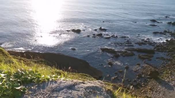 Útes Vegetací Zátokou Bez Přístupu Kantábrijského Oceánu — Stock video