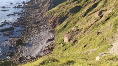 Bitkilerle dolu bir uçurum ve Cantabrian okyanusunda erişimi olmayan bir koy.